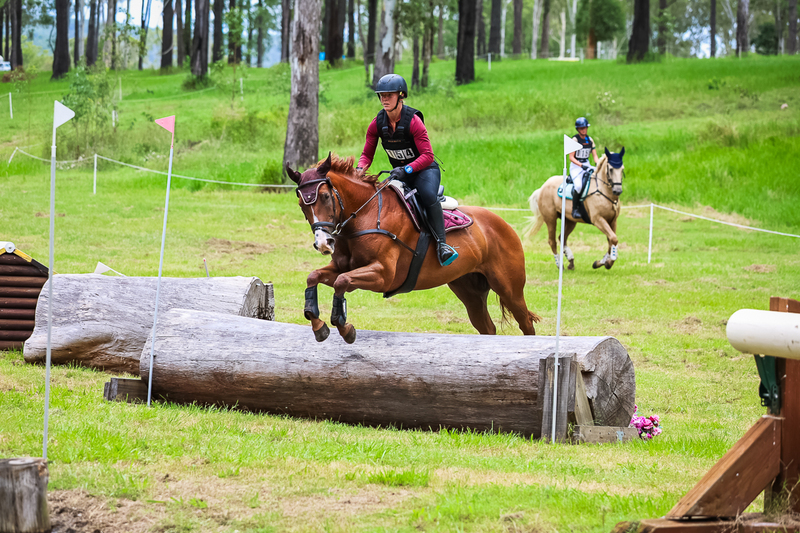 TEG March ODE 2026 80 XC-5225.jpg