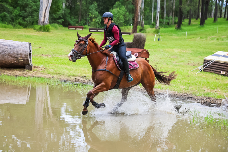 TEG March ODE 2026 80 XC-5228.jpg