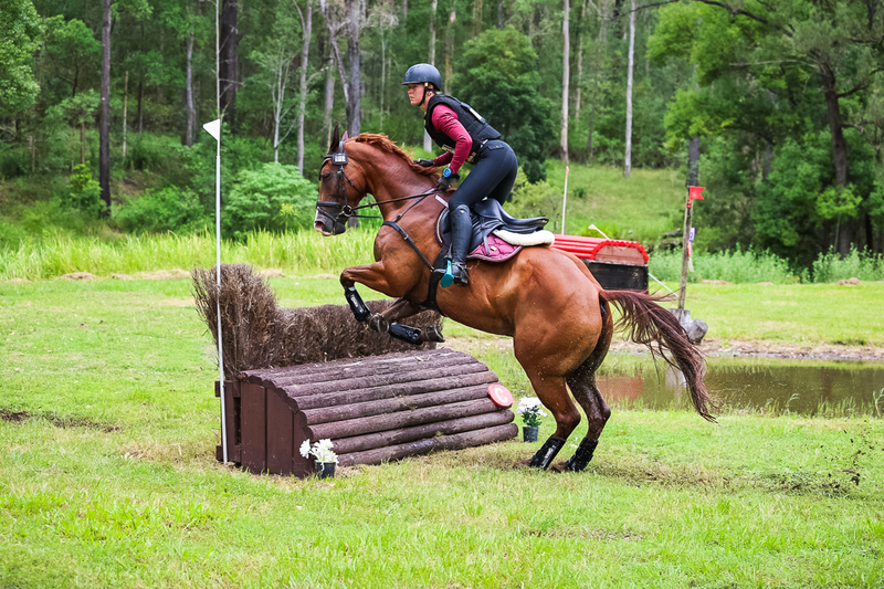 TEG March ODE 2026 80 XC-5229.jpg