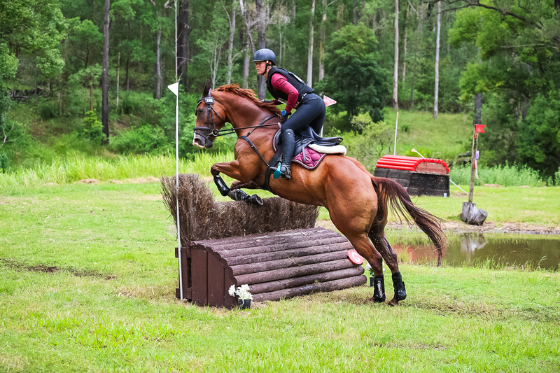 TEG March ODE 2026 80 XC-5230.jpg