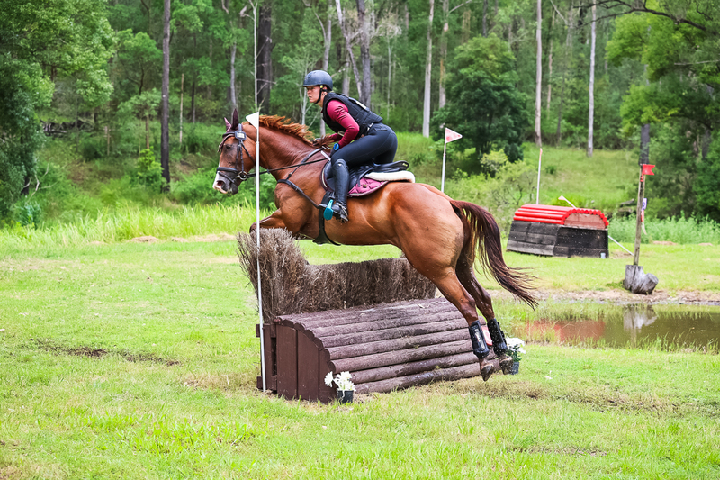 TEG March ODE 2026 80 XC-5231.jpg