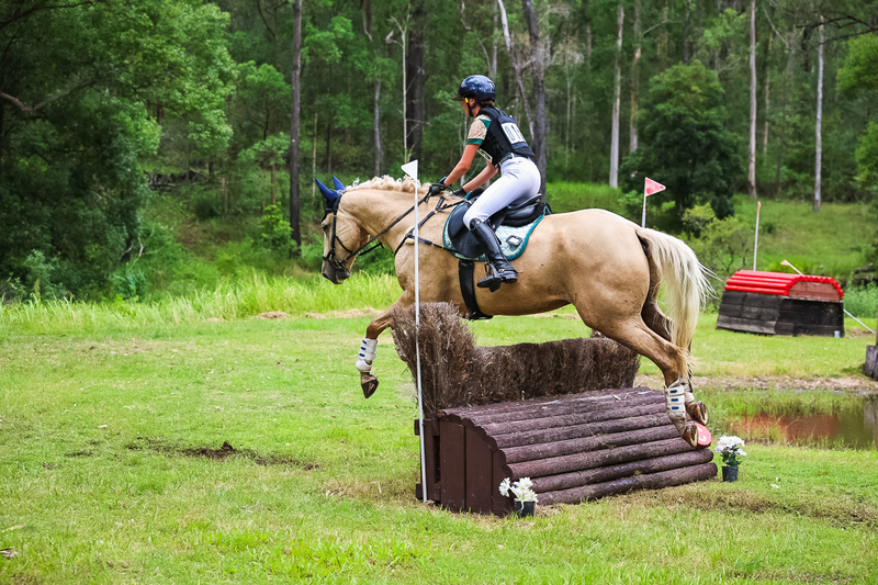 TEG March ODE 2026 80 XC-5240.jpg