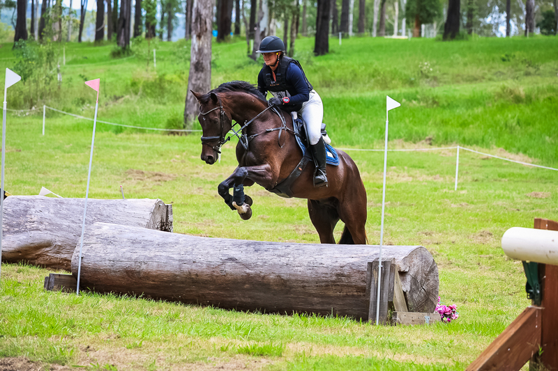 TEG March ODE 2026 80 XC-5242.jpg