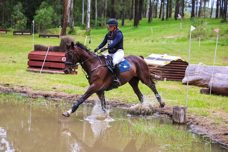 TEG March ODE 2026 80 XC-5243.jpg