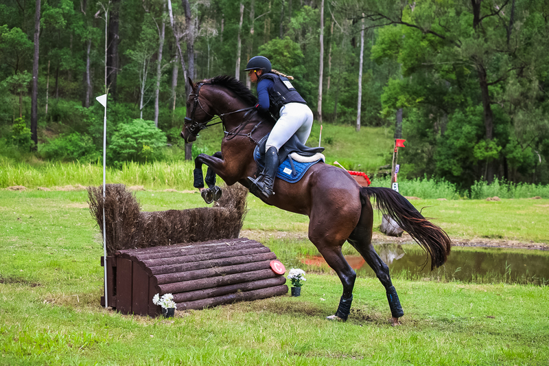 TEG March ODE 2026 80 XC-5247.jpg