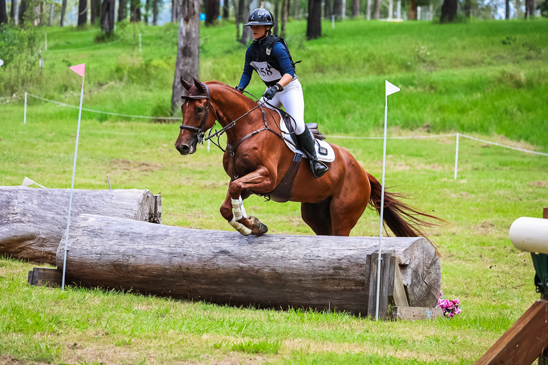 TEG March ODE 2026 80 XC-5250.jpg