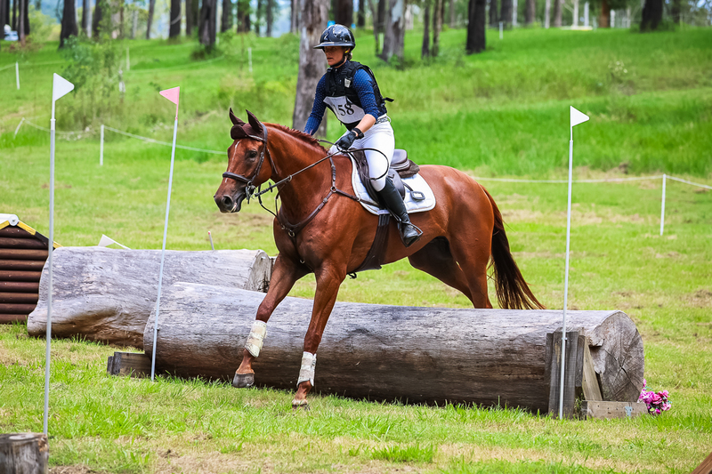 TEG March ODE 2026 80 XC-5252.jpg