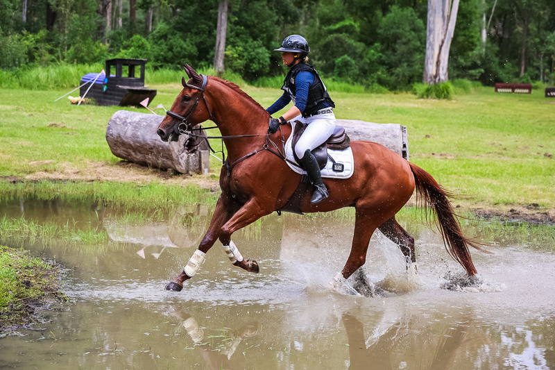 TEG March ODE 2026 80 XC-5256.jpg