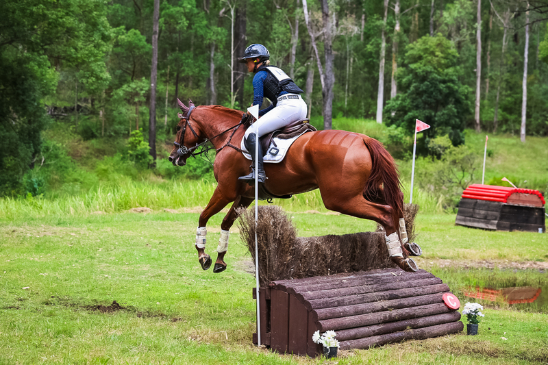 TEG March ODE 2026 80 XC-5260.jpg