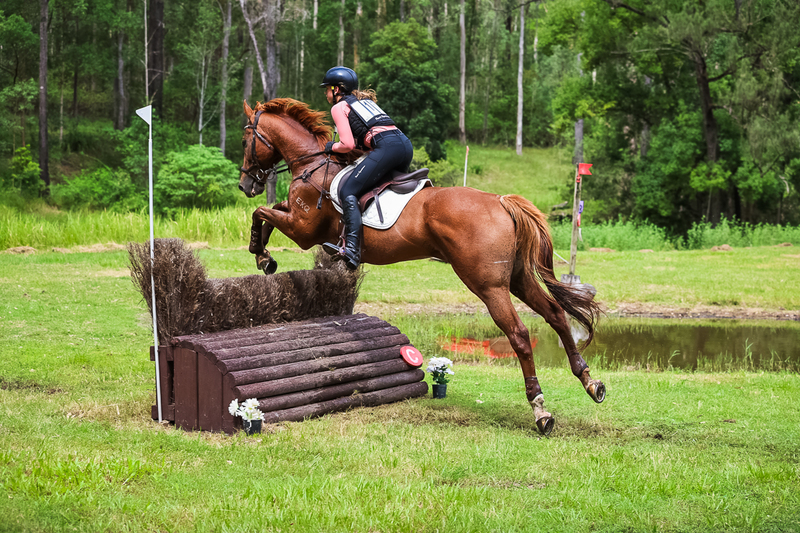 TEG March ODE 2026 80 XC-5268.jpg