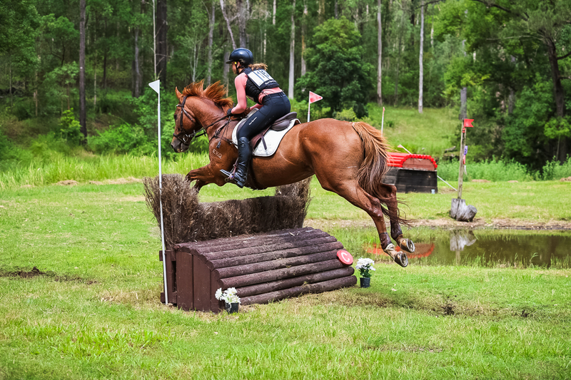 TEG March ODE 2026 80 XC-5269.jpg