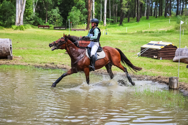 TEG March ODE 2026 80 XC-5273.jpg