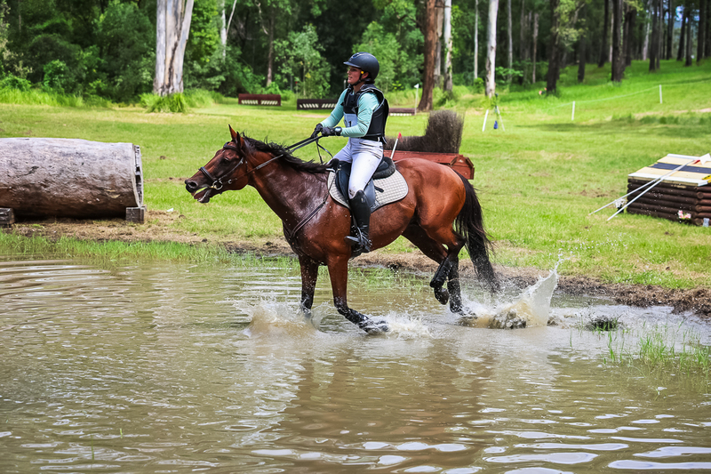 TEG March ODE 2026 80 XC-5275.jpg