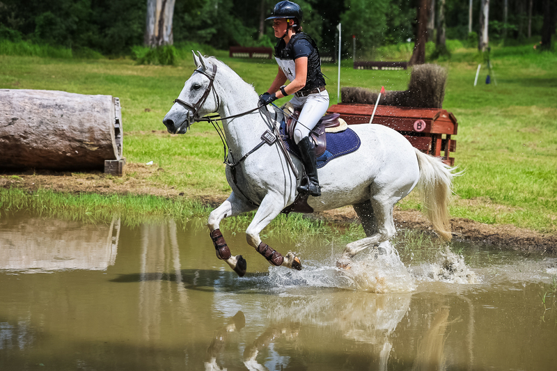 TEG March ODE 2026 80 XC-5303.jpg