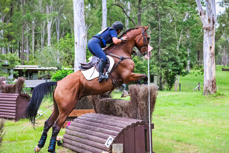 TEG March ODE 2026 95 XC-4397.jpg