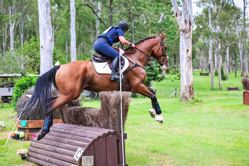 TEG March ODE 2026 95 XC-4399.jpg