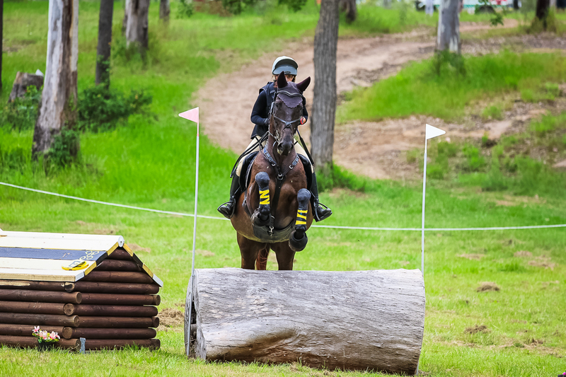 TEG March ODE 2026 95 XC-4400.jpg