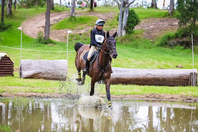 TEG March ODE 2026 95 XC-4404.jpg