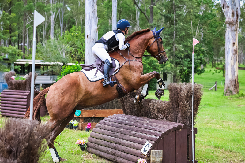 TEG March ODE 2026 95 XC-4417.jpg