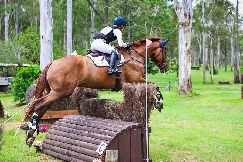 TEG March ODE 2026 95 XC-4419.jpg