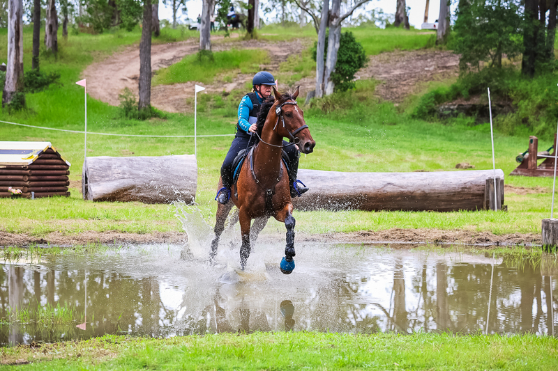 TEG March ODE 2026 95 XC-4437.jpg