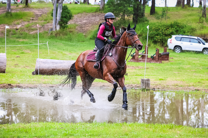 TEG March ODE 2026 95 XC-4445.jpg