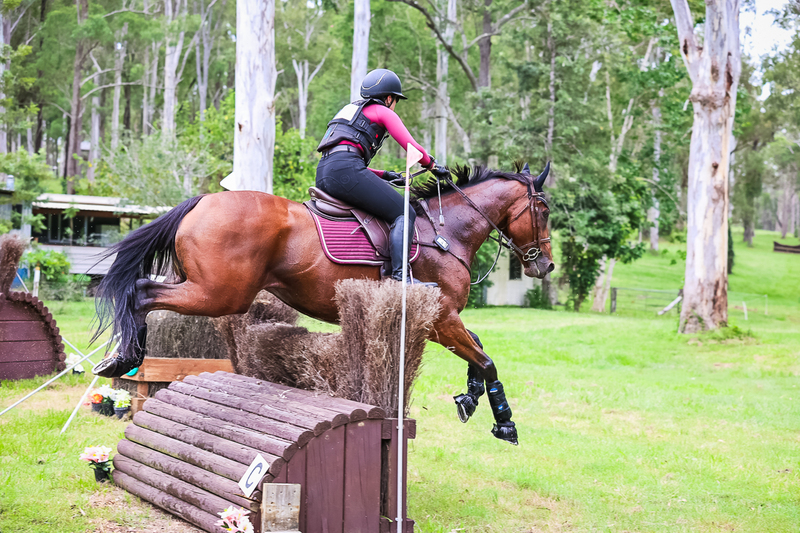 TEG March ODE 2026 95 XC-4447.jpg