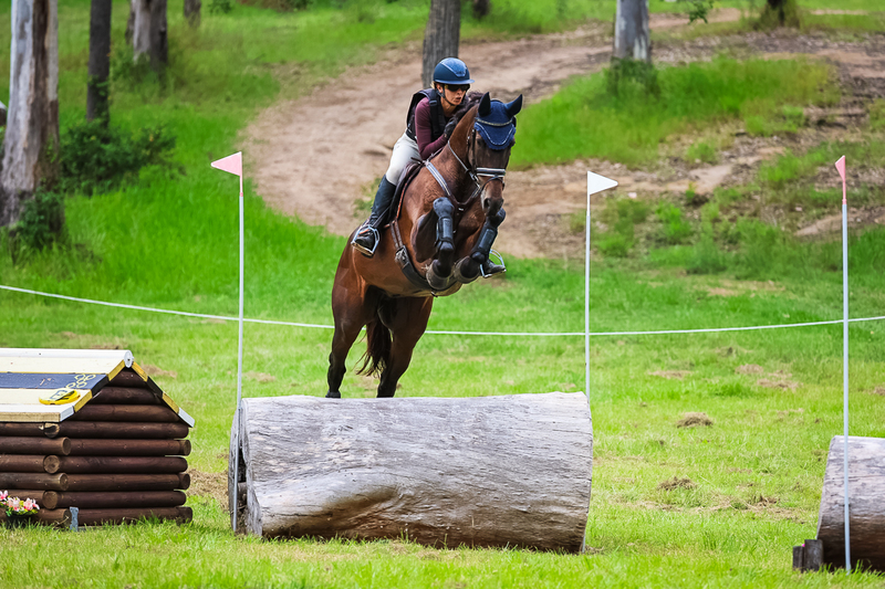 TEG March ODE 2026 95 XC-4451.jpg