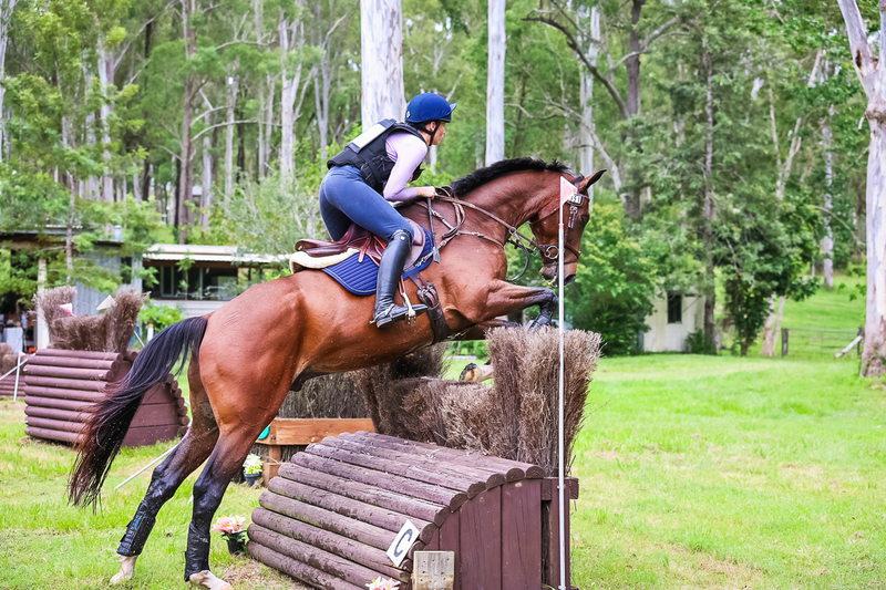 TEG March ODE 2026 95 XC-4464.jpg