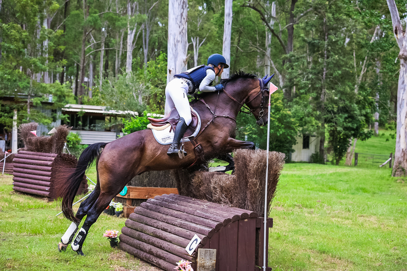 TEG March ODE 2026 95 XC-4471.jpg