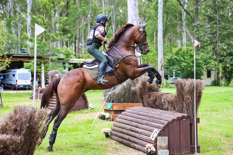 TEG March ODE 2026 95 XC-4487.jpg