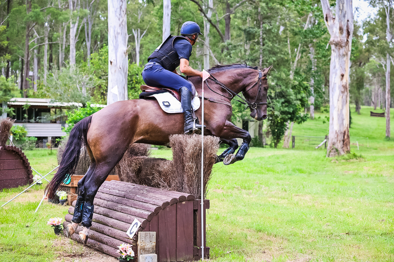 TEG March ODE 2026 95 XC-4497.jpg