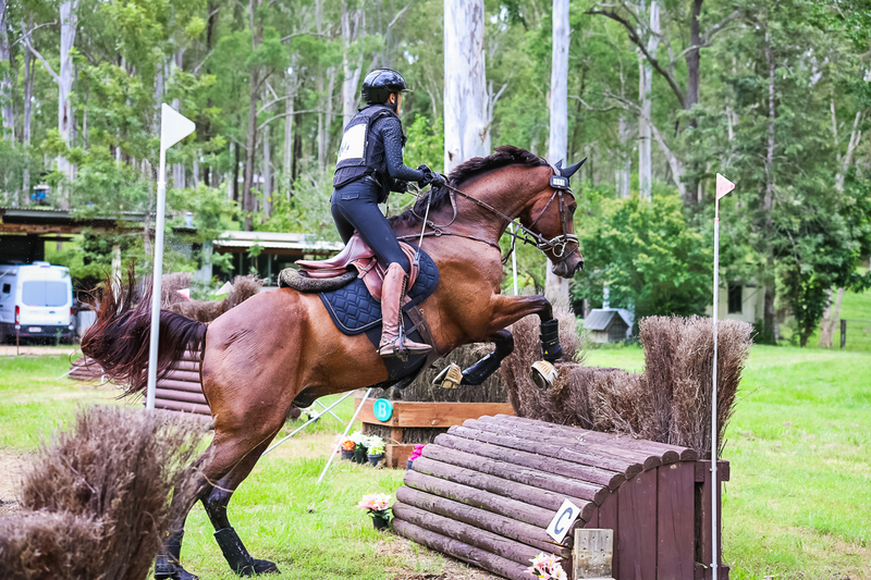 TEG March ODE 2026 95 XC-4515.jpg