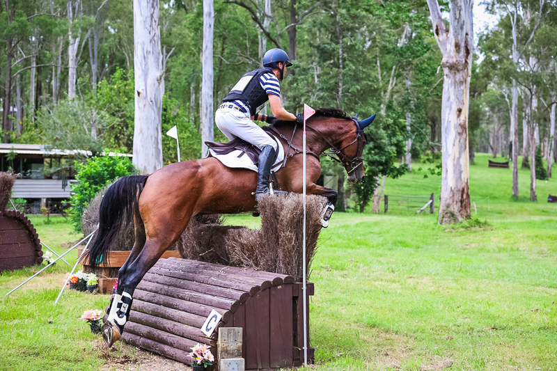 TEG March ODE 2026 95 XC-4524.jpg