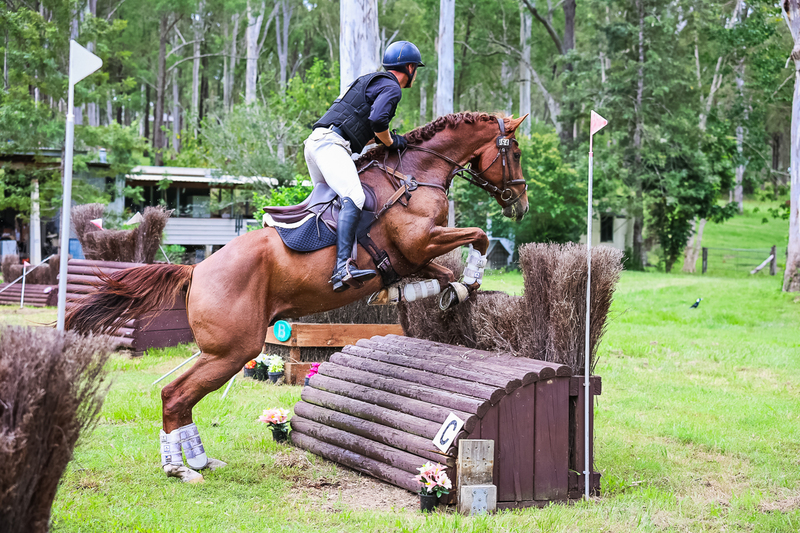 TEG March ODE 2026 95 XC-4532.jpg