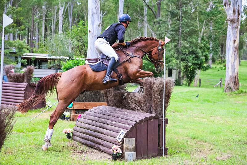 TEG March ODE 2026 95 XC-4533.jpg