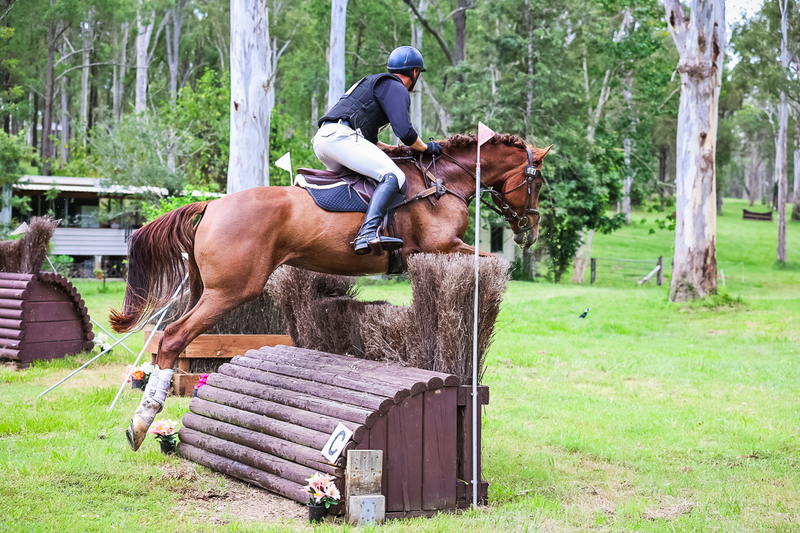 TEG March ODE 2026 95 XC-4534.jpg