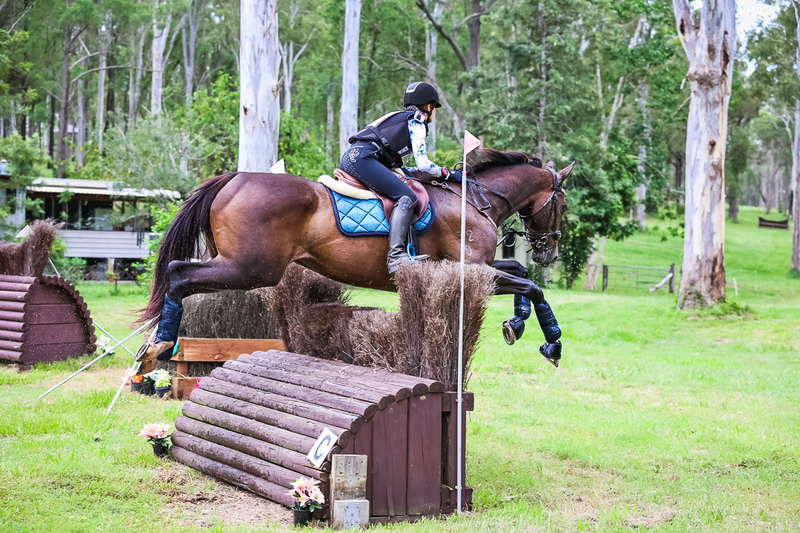 TEG March ODE 2026 95 XC-4543.jpg