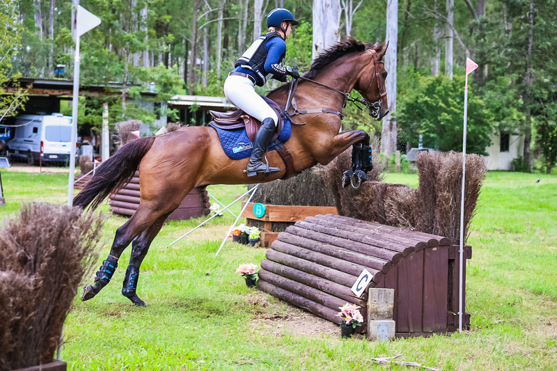 TEG March ODE 2026 95 XC-4571.jpg