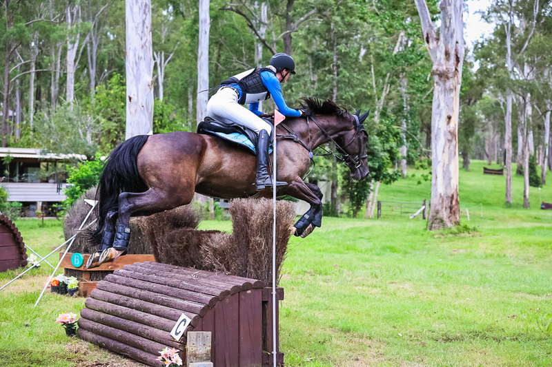 TEG March ODE 2026 95 XC-4596.jpg