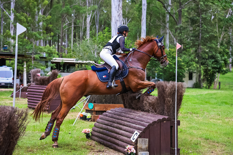 TEG March ODE 2026 95 XC-4617.jpg