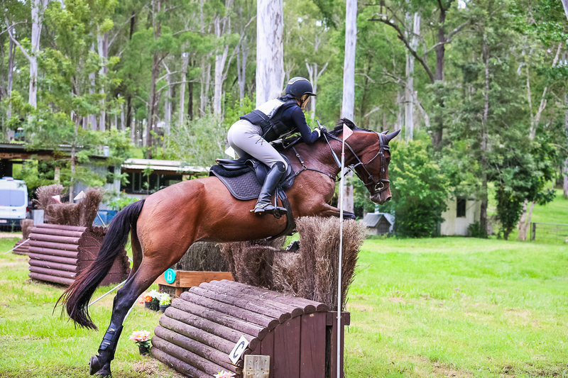 TEG March ODE 2026 95 XC-4653.jpg