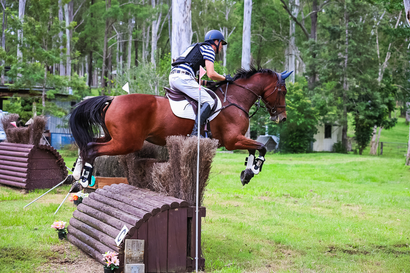 TEG March ODE 2026 95 XC-4698.jpg