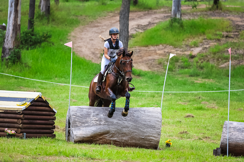 TEG March ODE 2026 95 XC-4700.jpg