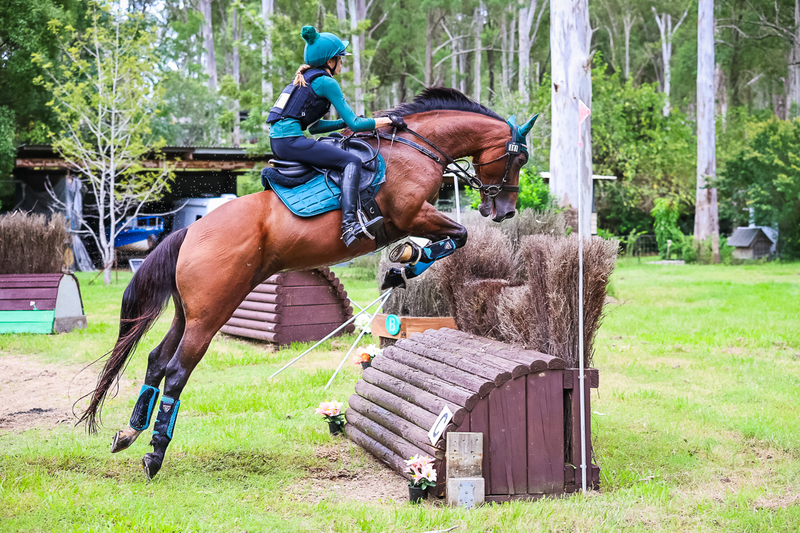 TEG March ODE 2026 95 XC-4716.jpg