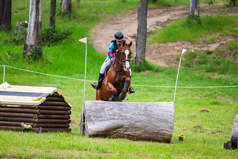 TEG March ODE 2026 95 XC-4719.jpg