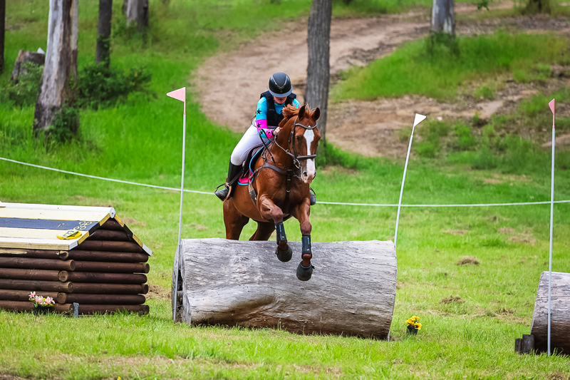 TEG March ODE 2026 95 XC-4721.jpg