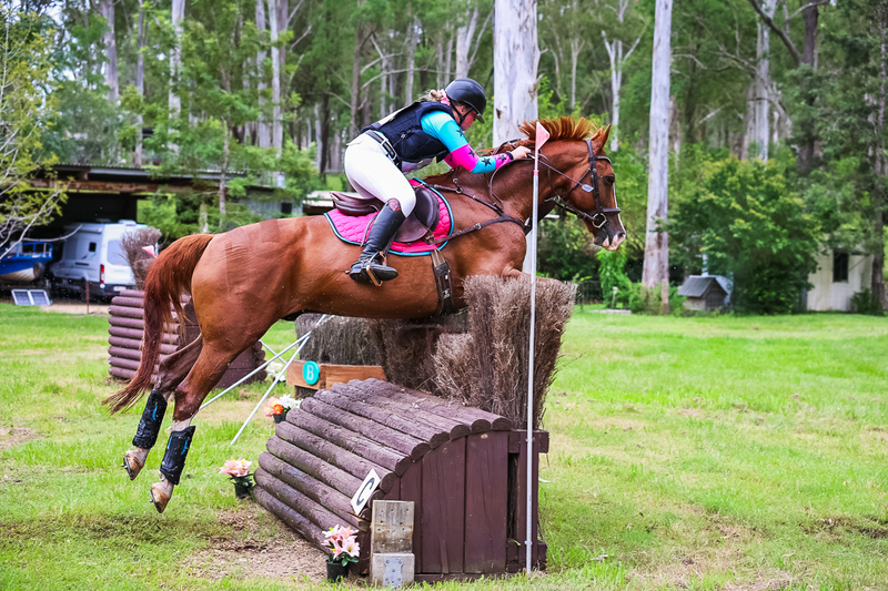 TEG March ODE 2026 95 XC-4726.jpg