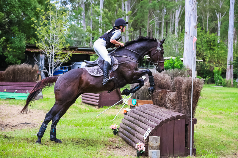 TEG March ODE 2026 95 XC-4734.jpg