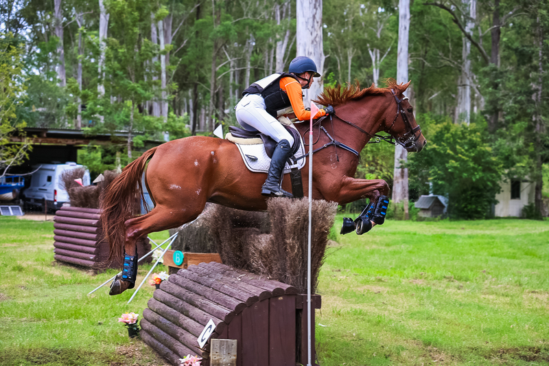 TEG March ODE 2026 95 XC-4754.jpg